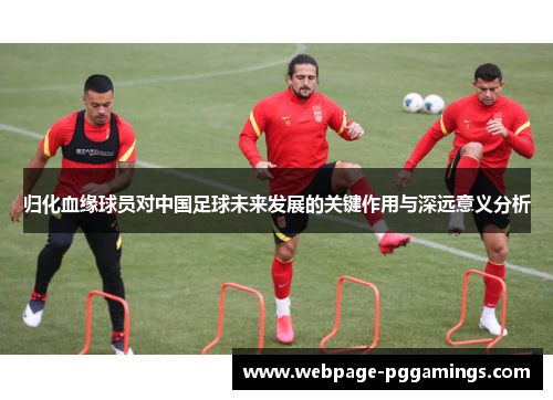 归化血缘球员对中国足球未来发展的关键作用与深远意义分析